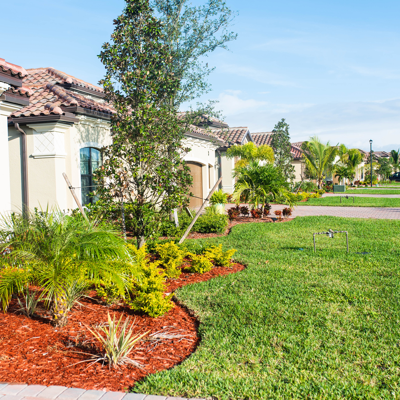 New Landscaping Creation